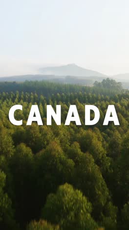 vertical video aerial drone shot over canadian forests overlaid with animated graphic spelling out canada