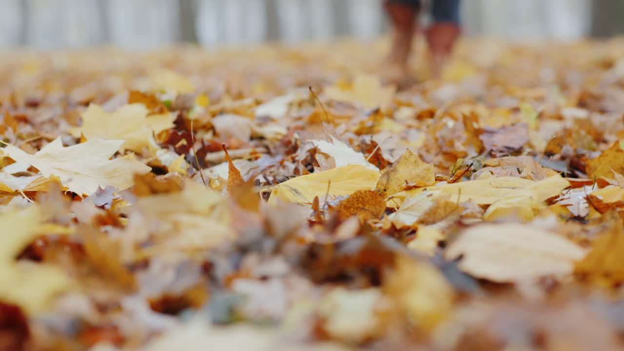 부츠를 신은 여성 다리가 안개 속에서 낙엽 위를 걷고 있다 비디오의 얕은 깊이