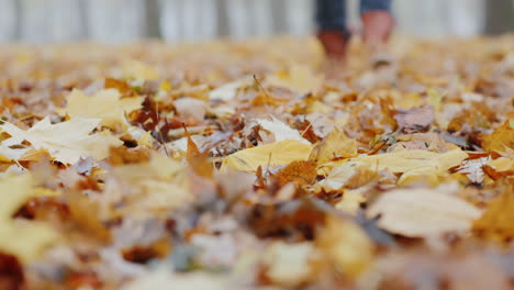 female legs in boots are walking on fallen leaves in the fog shallow depth of field video