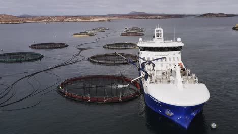 Advancing-and-tilting-drone-shot-of-a-well-boat-placing-fish-in-a-fish-pen