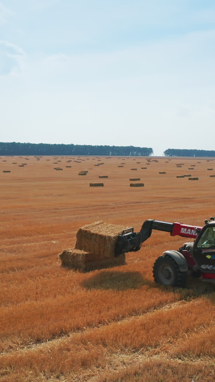 Little red powerful loader takes a straw bale and puts it on top of other bale. Agricultural machinery working in the field picking straw. Vertical video