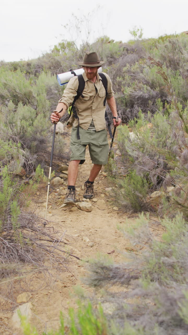video vertical de un sobreviviente caucásico barbudo con palos para caminar explorando en el desierto