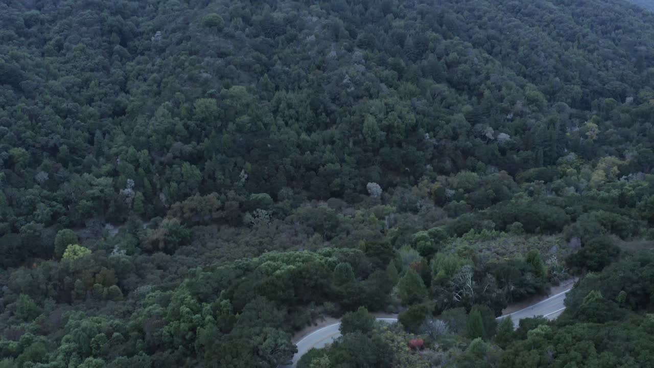 árboles naturales y bosque sobre un río