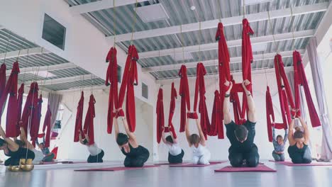 young slim women and man stretch legs holding hammocks