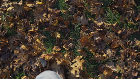 pov young man boots walking and kicking fall leaves through park in slow motion