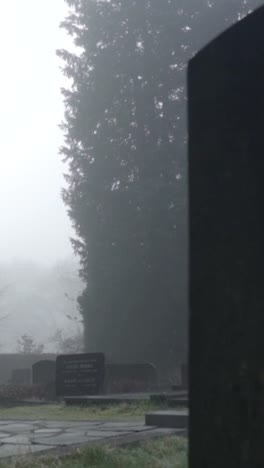 foggy cemetery landscape