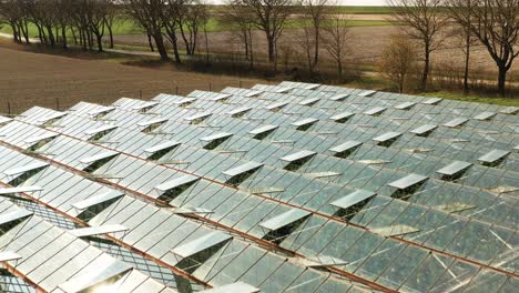 greenhouse rooftops with reflecting sun