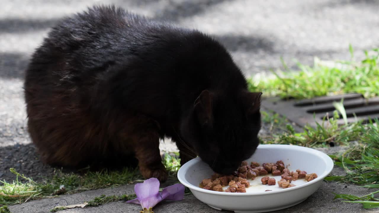 Close-up of black shoes on a wheelchair footrest
