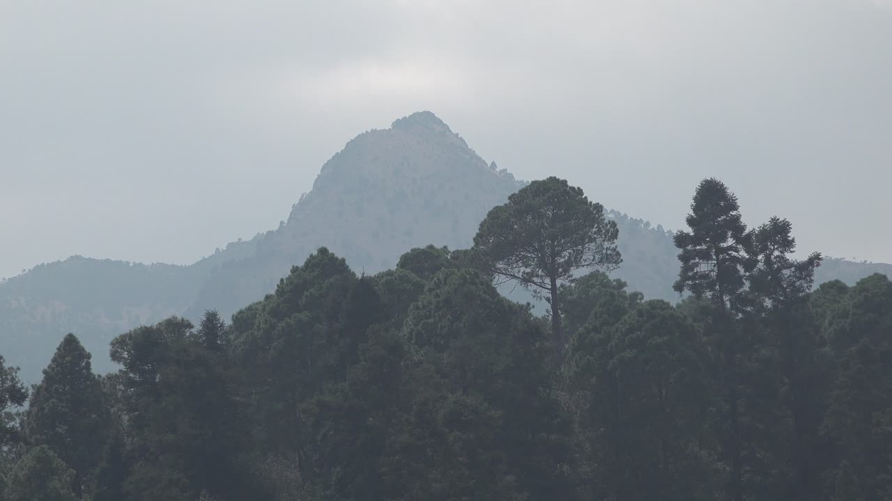 Volcano in Mexico City, called ajusco to the south of the capital, volcano with forest cloudy day