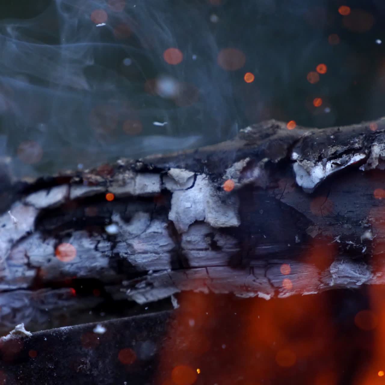 Fire flame close up view