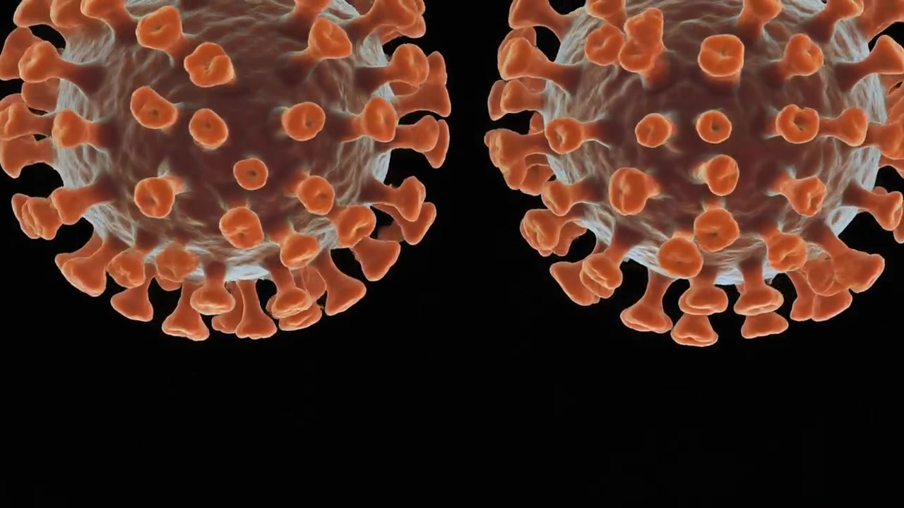 Animazione 3D di cellule di coronavirus che rilasciano particelle