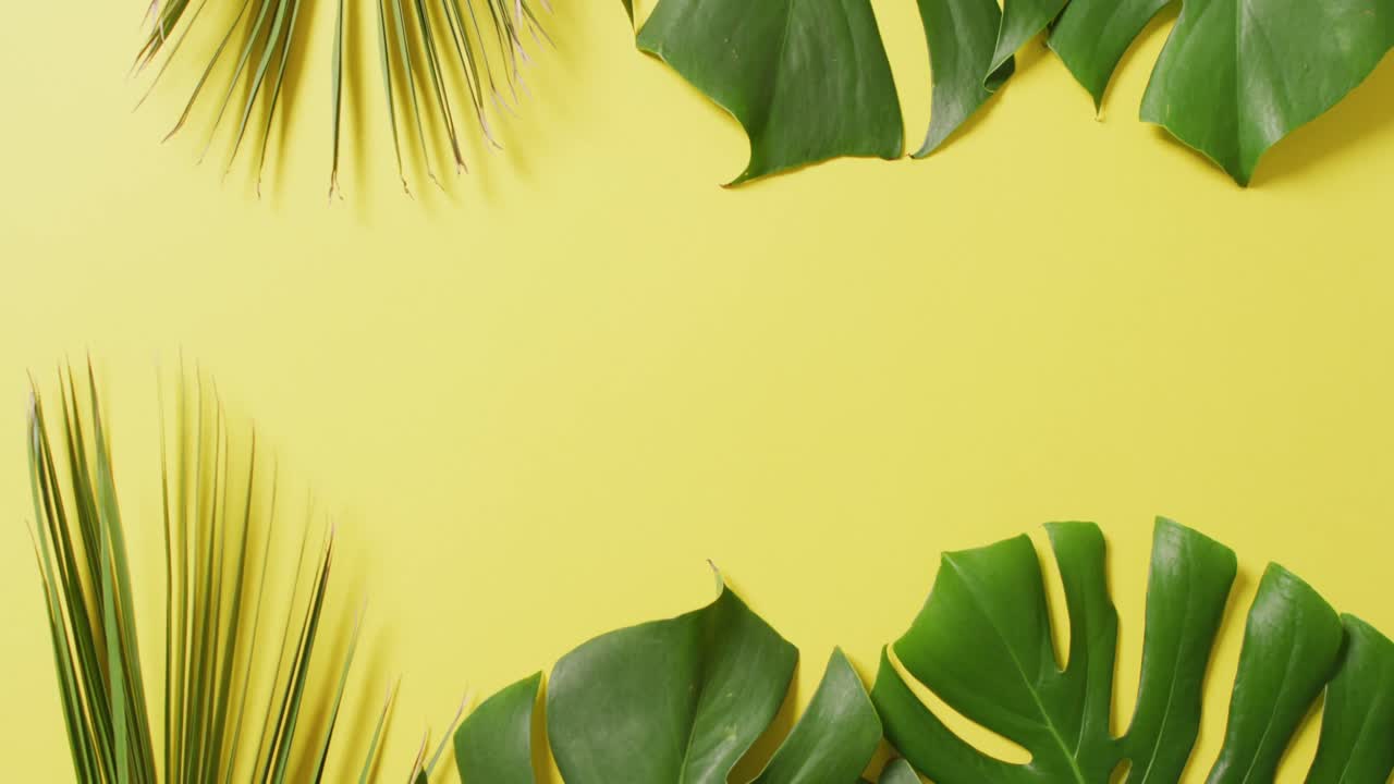 animación de hojas verdes exuberantes sobre fondo amarillo con espacio de copia