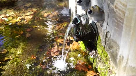 Moss-covered-fountain-with-beautiful-gargoyles.-Slowmotion