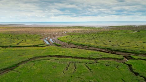 cracked mud flats in a salt marsh