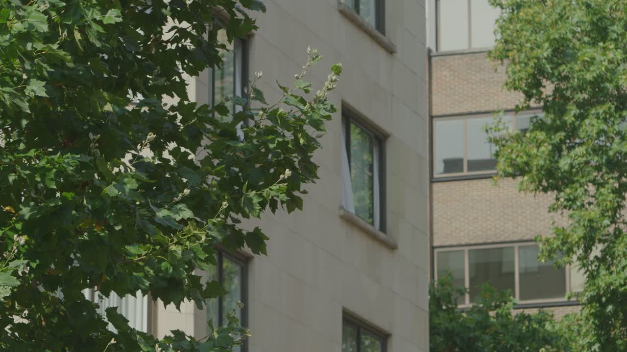 A 5K shot of a building in London.