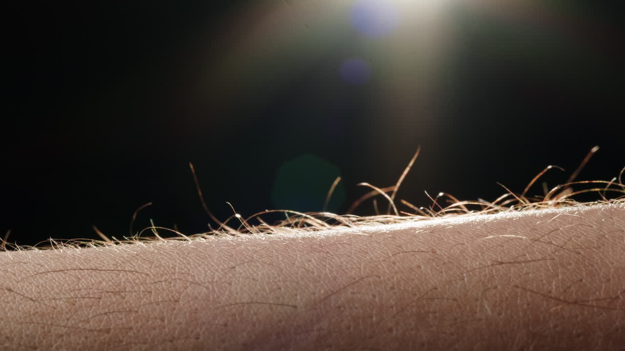 Close-up of human arm skin