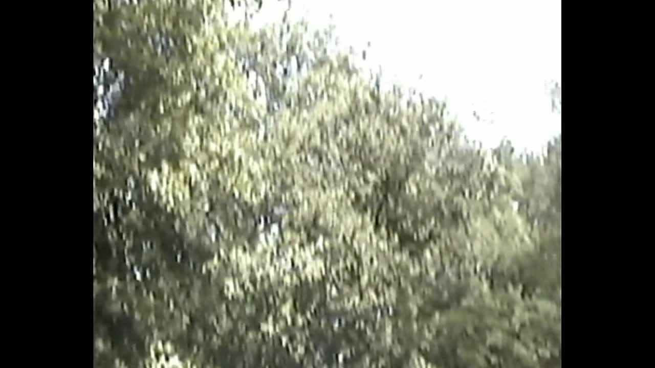 People walking in the woods