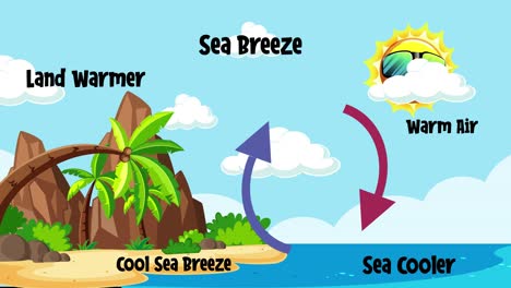 illustration of sea breeze and land breeze cycles