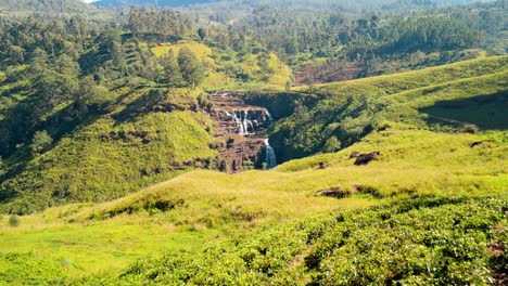 immerse yourself in the peaceful charm of saint clairs, nuwara eliya, sri lanka, as a woman walks gracefully through the vibrant green tea plantations with the iconic saint clairs waterfalls cascading