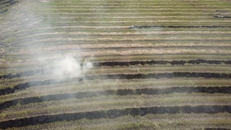 abran fuego en el campo de arroz en malasia.