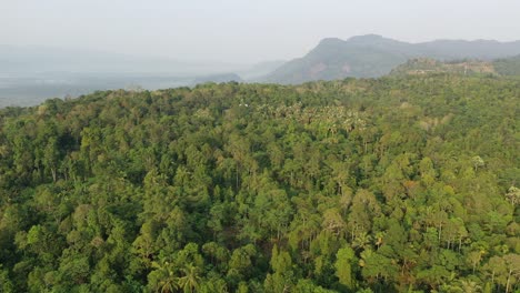 aerial view of lush green tropical forest and mountains