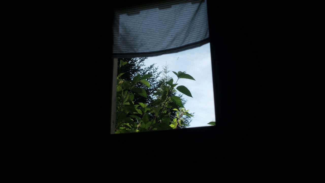 View from inside a small wooden treehouse, looking out through a window frame onto lush garden greenery, capturing a peaceful childhood moment and natural atmosphere. Sun through the foliage