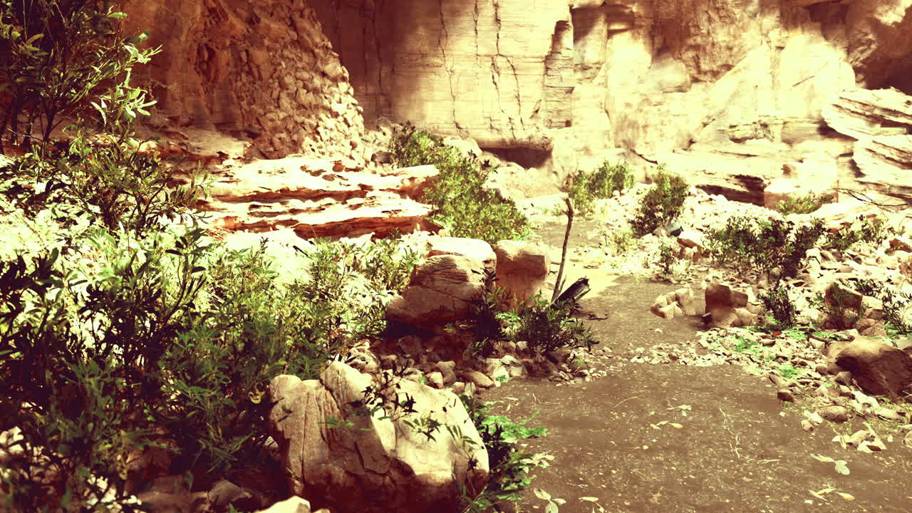 explorando un paisaje sereno de cañón con la luz del sol iluminando formaciones rocosas