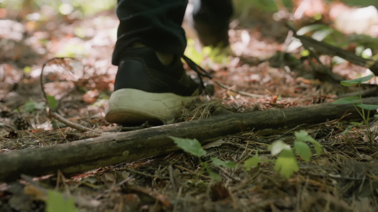 Back leg view of man in black trouser and shoes walking carefully on forest pathway with dry leaves, branches, and sunlight filtering through dense foliage, creating natural exploration atmosphere