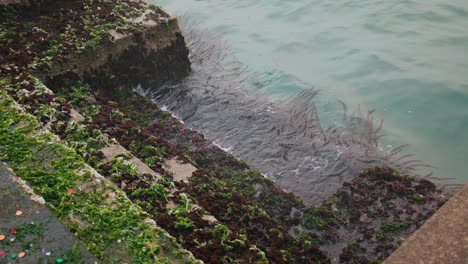 Seaweed-clad-steps-in-misty-Venice,-Italy