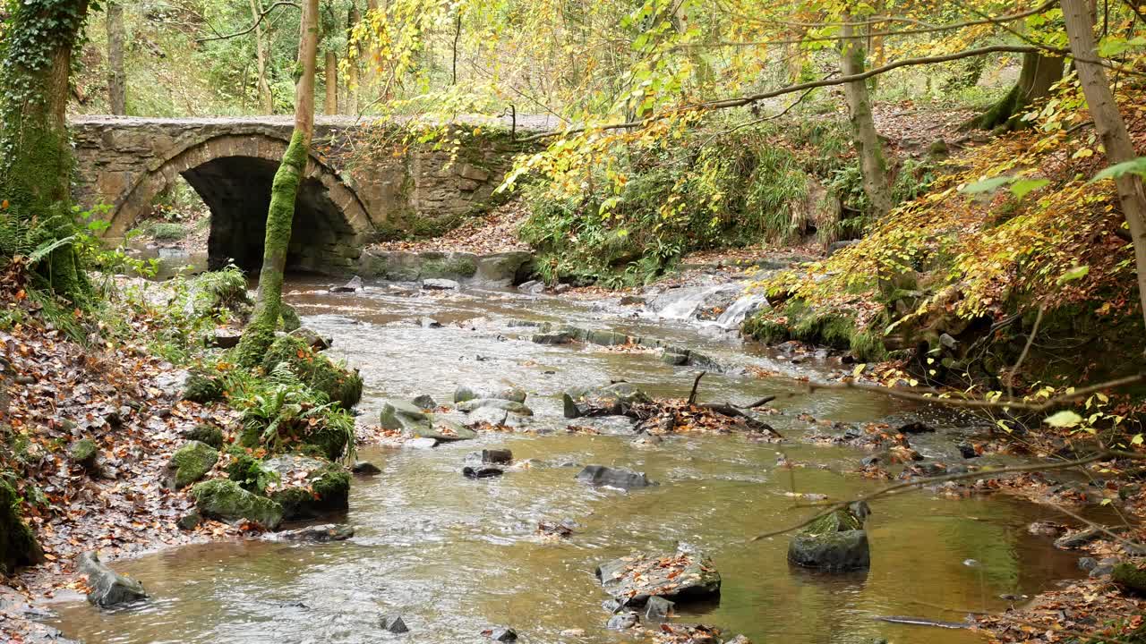 que fluye otoño bosque bosque río piedra arco puente desierto follaje