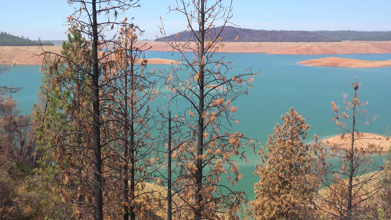 Oroville Lake California During Extreme Drought Conditions With Low Water Levels And Burned Trees
