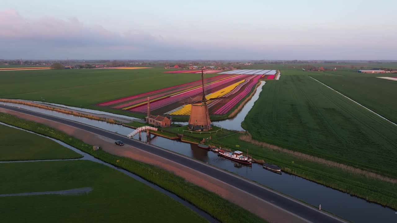 Vista aerea di un mosaico di tulipani vicino a un corso d'acqua e a un iconico mulino a vento olandese.