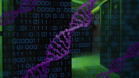 animation of dna strand, binary coding and data processing over computer servers