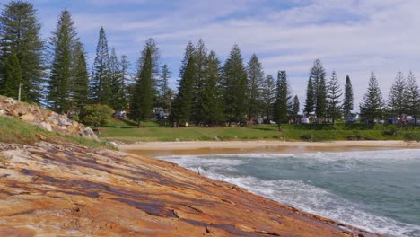 Verano-En-Las-Rocas-Del-Suroeste---Olas-Del-Océano-Salpicando-En-La-Orilla-De-La-Playa-Con-Pino-Norfolk---Nueva-Gales-Del-Sur,-Australia