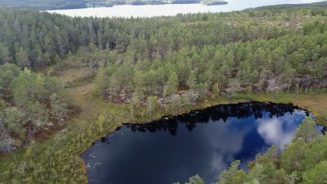 sobrevuelo de un pequeño lago escondido en el bosque sueco de dalsland