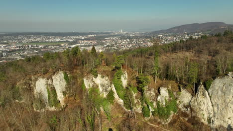 drone panning shot of the high pine trees on the steep jura rocks with the swiss city basel in the background on a sunny autumn day