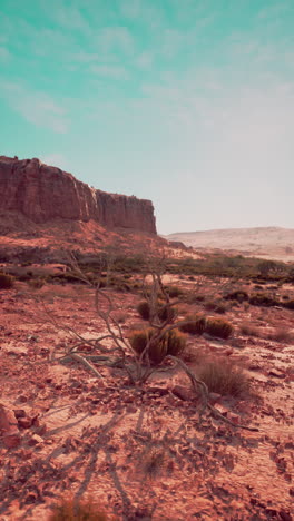 paisaje desértico rojo con montaña en el fondo