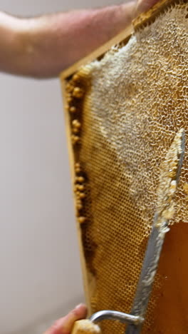 unrecognized male beekeeper opens cells on the honey frame using special knife. man preparing frames for honey extraction in machine. vertical video