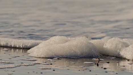 waves and foam near the oosterschelde storm surge barrier in zeeland, netherlands, super slow motion