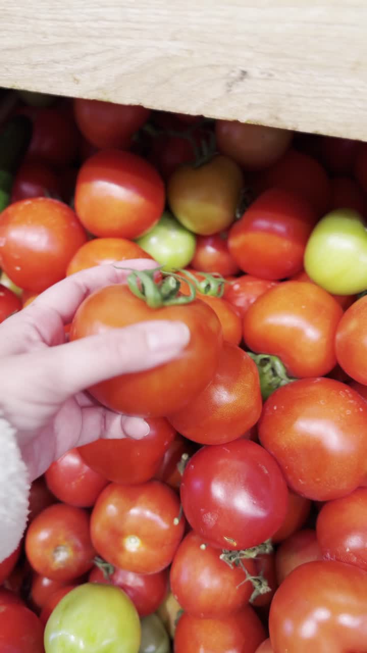 Hand picking a tomato from a pile of fresh tomatoes
