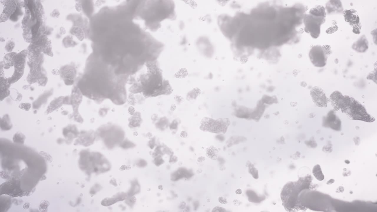 I fiocchi di neve cadono