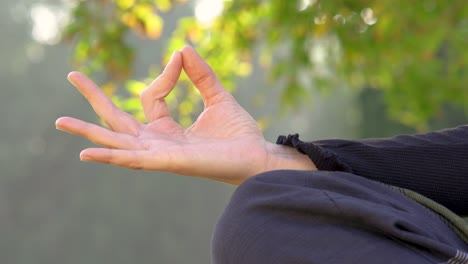 Woman-in-yoga-pose-puts-and-removes-hand-with-nature-background