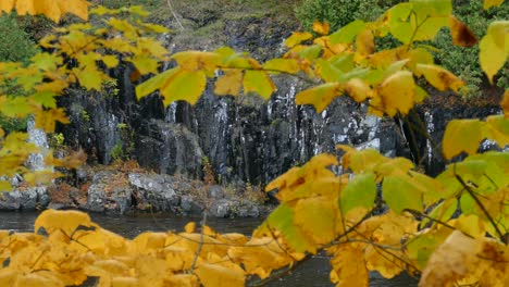 impresionante piedra negra a orillas de un río que cavó en ella a lo largo del tiempo.