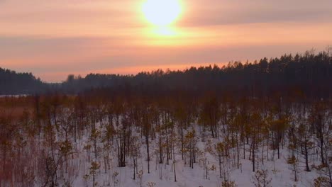 Aerial-Shot-Of-Wide-Snowy-Swamp-At-Sunset-Time,-Colorful-Sky,-United-States