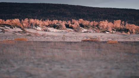 sandy dunes on the river bank