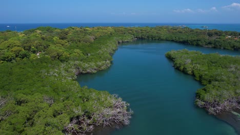 lagoon and mangroves in caribbean sea