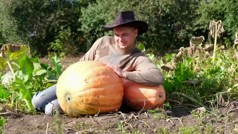 farmer resting with large pumpkins