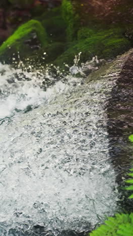 pure waterfall jets fall down from steep rock in shady forest slow motion. clear water cascade on cliff in nature park. travelling in wild lands