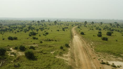 on safari in african savannah in uganda