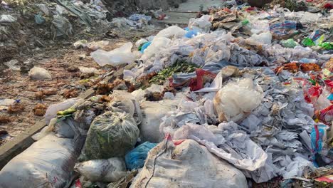 garbage dump in open air polluting the environment with street dogs - panning shot